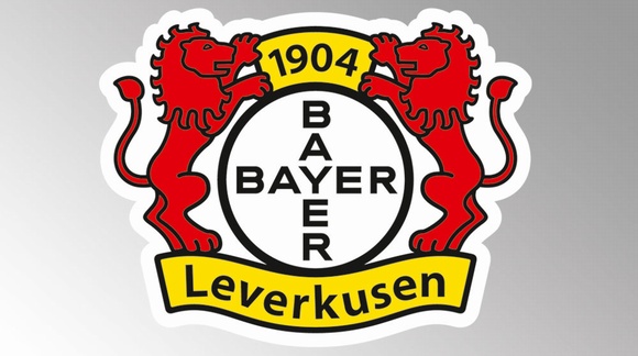 Günstige Tickets für das Bundesliga-Heimspiel gegen TSG 1899 Hoffenheim