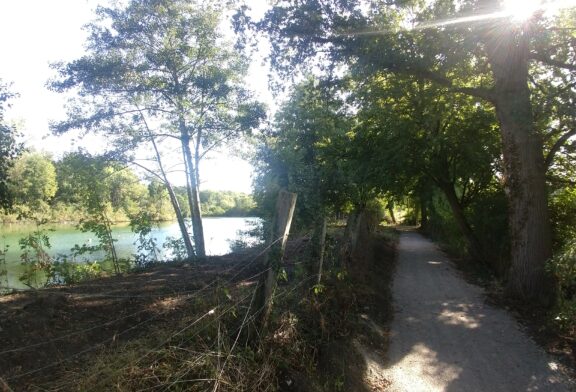 Lauf-Weg bei Sümpelmanns Teich wieder geöffnet