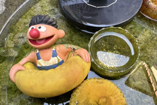 Heute 
