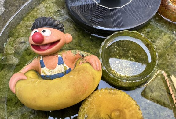 Heute 